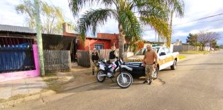 La Brigada Rural de Concordia recupera animales robados y aclara estafa