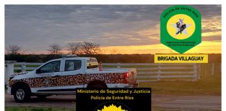 Brigada Villaguay restituyó 14 vacunos robados a un productor de la zona: el Abigeato había sido seguido de Estafa