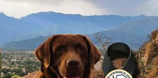 La Federación Entrerriana de Asociaciones de Bomberos Voluntarios Lamenta la Partida de NERÓN