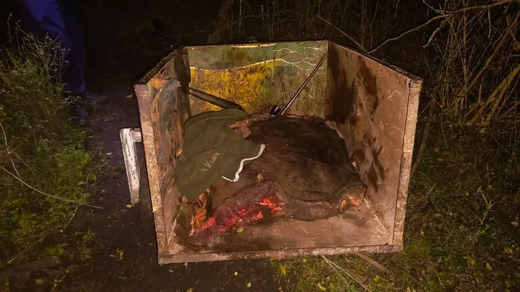 Detienen a un ciudadano por el delito de abigeato en flagrancia y tenencia ilegal de arma de fuego