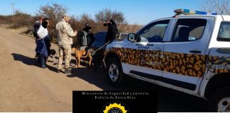 Operativo en Zona Rural de Perdices, Gualeguaychú: Identifican a Seis Personas por Infracción a la Ley Provincial de Caza N° 4841/71