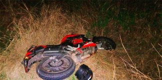 Accidente en ruta 39: Un motociclista colisiona con animal bovino