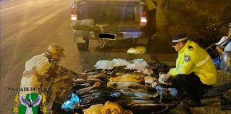 Secuestro de Automóvil y Procedimiento de Ley de Pesca y Carne en Concordia