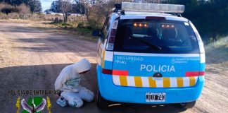 La Policía de Entre Ríos recuperó autos robados en Buenos Aires