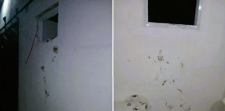 Ladrón ingresó a una vivienda en el barrio 110 Viviendas: tras la activación de la alarma, solo se llevó una garrafa