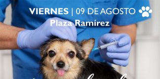 Realizarán un operativo gratuito de vacunación antirrábica en Plaza Ramírez