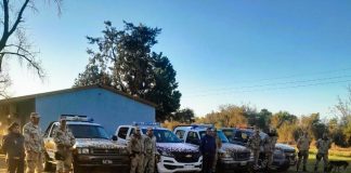 Desarticulan banda de cuatreros en Bovril: Secuestran cabezas de ganado y evidencia de abigeato