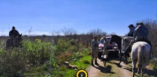 Operativos en Villaguay: Secuestran armas de fuego