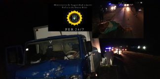 Accidente en RP39: Un Camión atropelló a un equino frente a la fábrica Sadepan