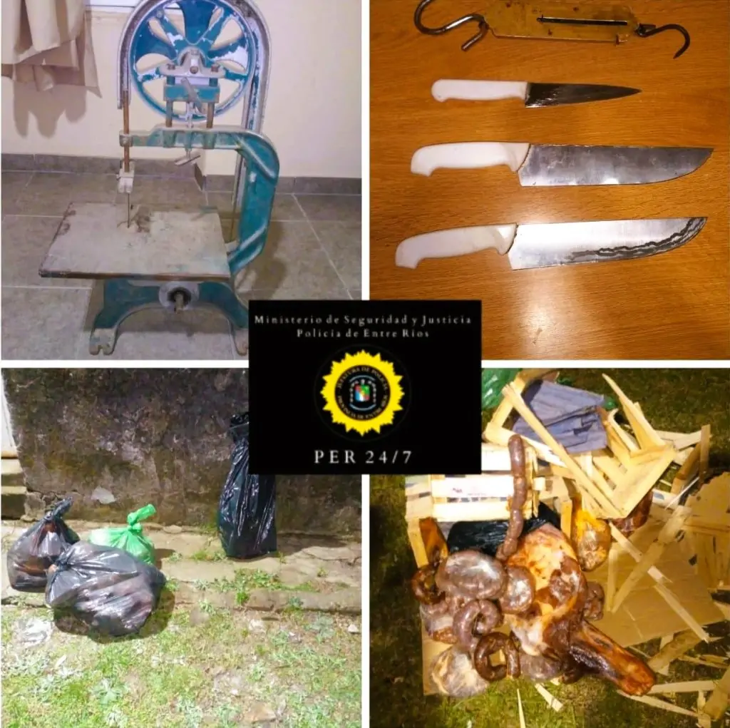 Allanamiento en General Ramírez por Abigeato: Secuestran Carne y Herramientas