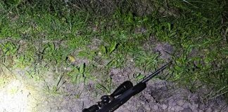 Procedimiento Policial en acceso al Palacio San José: Dos demorados