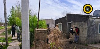 Desmantelan banda de cuatreros: Un detenido, Secuestro de arma, carne y estupefacientes