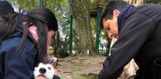 Se realizó un operativo antirrábico gratuito