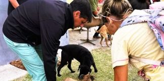 Realizan un nuevo operativo antirrábico en la ciudad