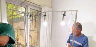 Este viernes, castrarán a 100 gatos machos