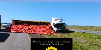 Autovía: Un camión sufrió un desperfecto mecánico y un automóvil no pudo evitar chocarlo