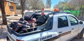 Desmantelan Fábrica y Matadero Clandestino de Cerdo en Villa Elisa, Departamento Colón