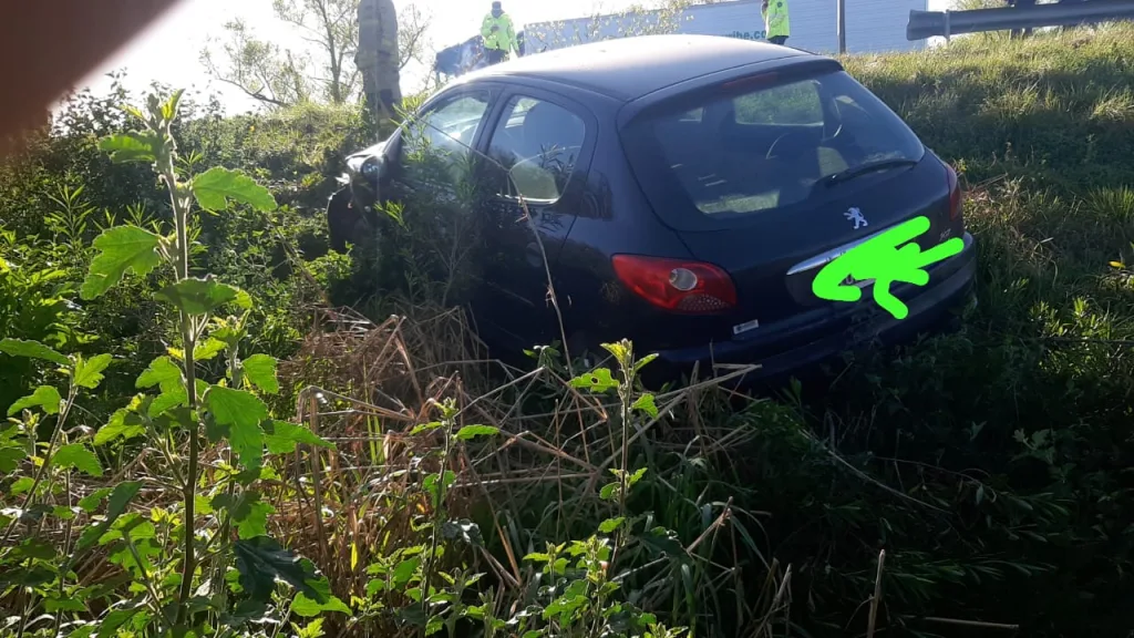 Siniestro vial en Ruta 12: Un auto choca con un animal y termina en zona de préstamo