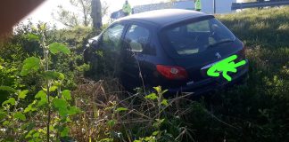 Siniestro vial en Ruta 12: Un auto choca con un animal y termina en zona de préstamo