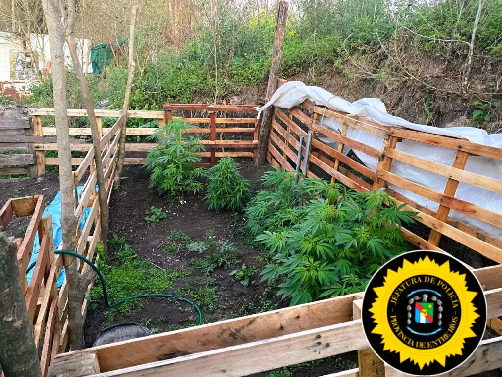 Procedimiento en Barrio Cristo de Los Olivos