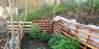 Procedimiento en Barrio Cristo de Los Olivos