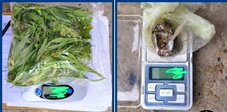 Allanamiento y secuestro de estupefaciente