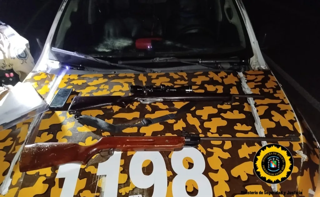 Operativos conjuntos por tierra y agua: Secuestro de 15 armas de fuego en la costa del Paraná