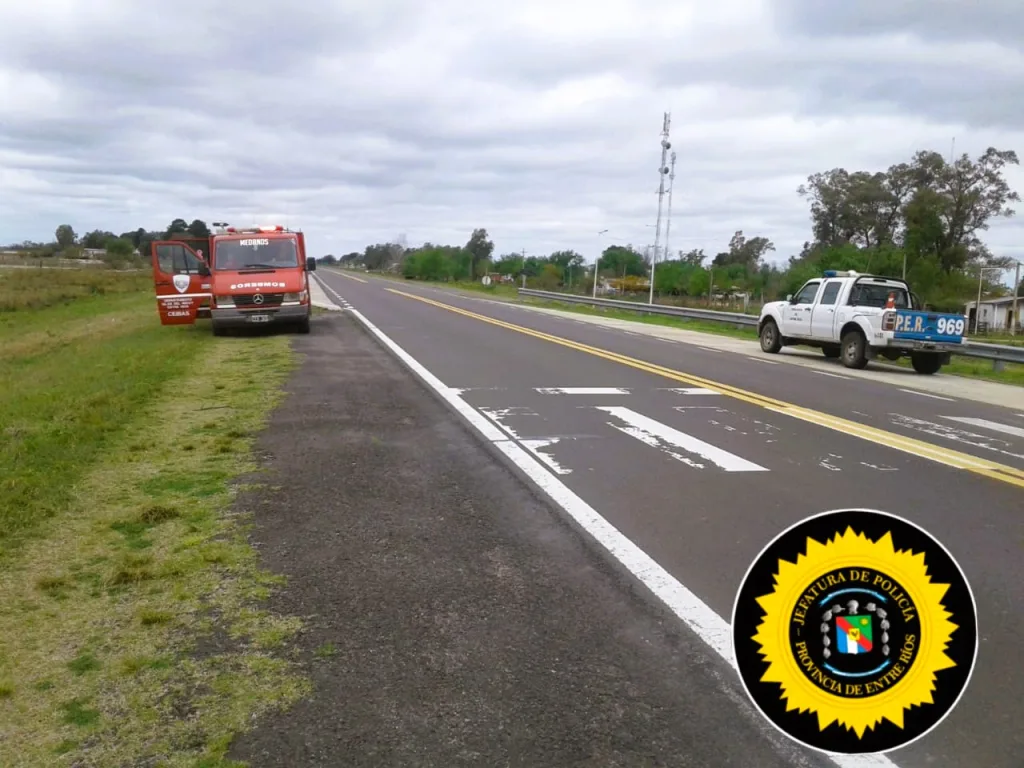 (Video) Accidente en una estancia: Joven fue embestido por un Búfalo