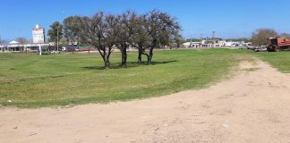 Proyecto de una estación de servicios en el Monumento a Urquiza