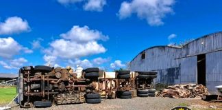 Camión vuelca cuando descargaba en una empresa