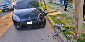 Conductor ebrio choca contra un árbol, tenía 2,32 de alcohol en sangre