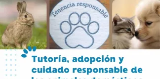 Zoonosis participará de una charla en UADER