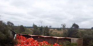 Federación: Nuevo Accidente en la Autovía 14