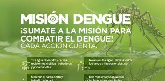 Puntos limpios: la forma de evitar el dengue en cada hogar