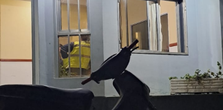 San José: Hallan motocicleta robada en Concepción del Uruguay durante un control