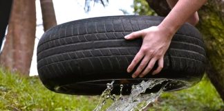 Renuevan la solicitud para evitar entre todos el Dengue