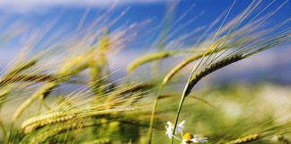 Nota de opinión: Cambio de época