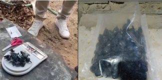 Continúan los allanamientos en Concordia: seis detenidos y un importante secuestro de estupefacientes