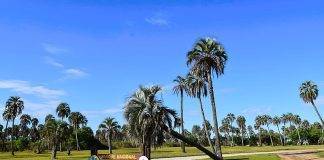 Aumento en Entradas: Disfrutar de El Palmar ahora costará 7,000 Pesos