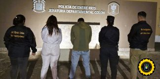 Colón: Secuestran planta de Cannabis y gran cantidad de elementos, hay dos detenidos