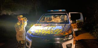 Operativo en Gualeguaychú: Secuestran arma de fuego y cartuchería en control de rutina