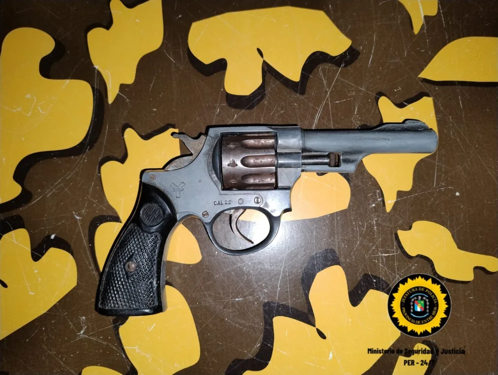 Operativos en Entre Ríos: recuperación de animales y secuestro de armas en diversas brigadas