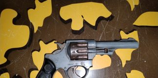 Operativos en Entre Ríos: recuperación de animales y secuestro de armas en diversas brigadas