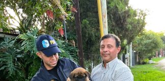 La División Toxicología de Gualeguaychú incorpora un cachorro Malinois donado por un vecino