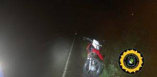 Motociclista de Gualeguay Gravemente Herido tras Chocar con un Ciervo en Ruta Provincial 16