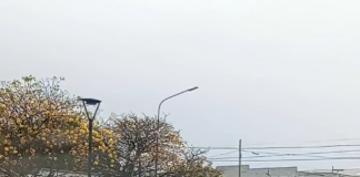 Un auto perdió el control y terminó impactando contra una luminaria pública