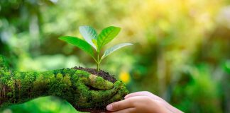 Lena impulsa la creación de un «Compromiso Ambiental» en las escuelas de Entre Ríos