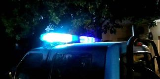 RUTA 39: Camión colisionó con un ternero