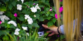 La provincia realizó el lanzamiento de la temporada de monitoreo del mosquito transmisor del dengue