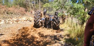 Tragedia en Colonia Ayuí: Trabajador muere aplastado por un tractor